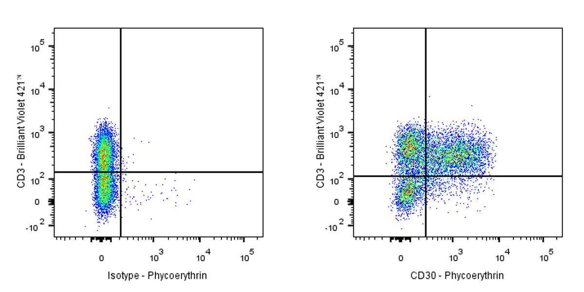 Armenian hamster Anti-Mouse CD30 Antibody (mCD30.1)