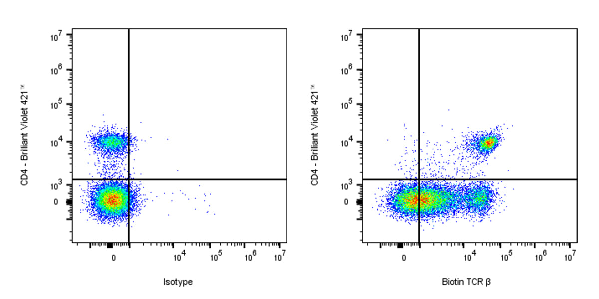 Biotin Armenian hamster Anti-Mouse TCR β Antibody (H57-597)