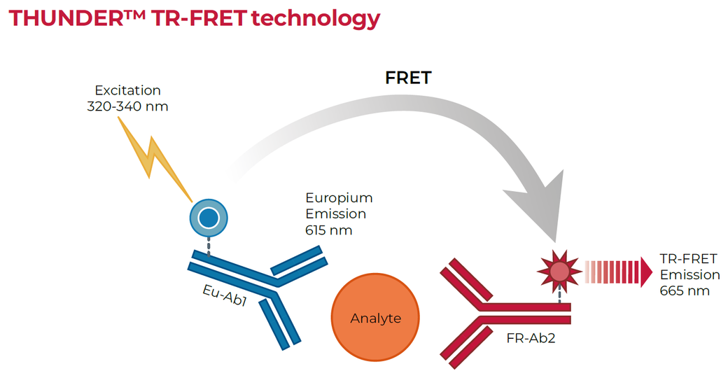 THUNDER TR-FRET technology principle