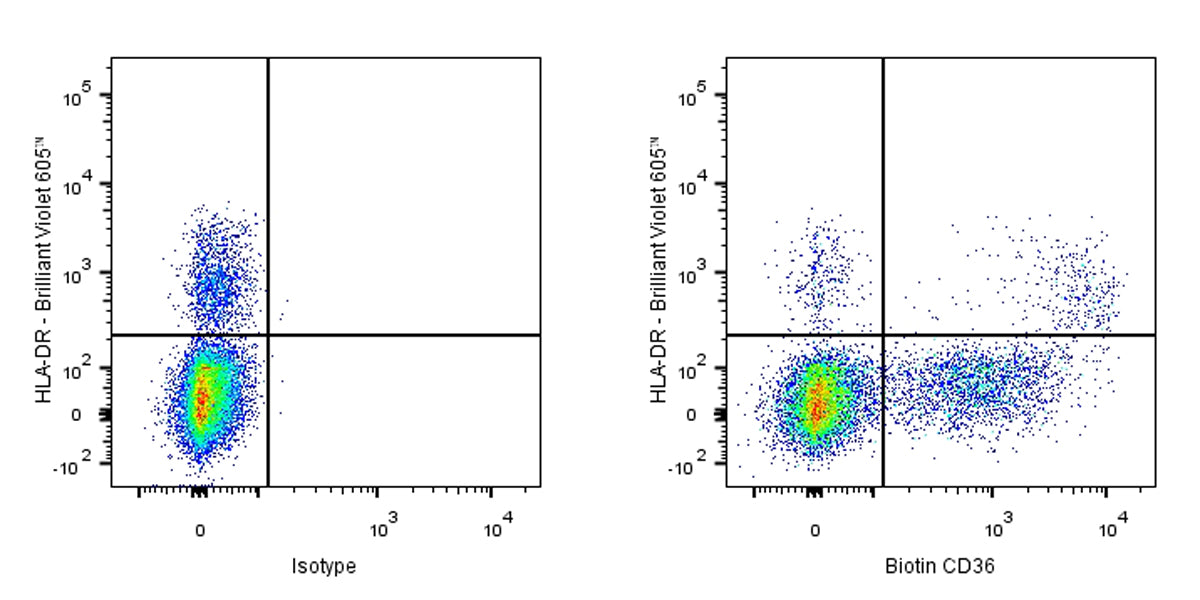 Biotin Mouse anti-Human CD36 Antibody (S-R617)