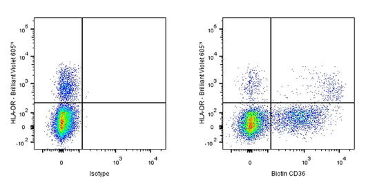 Biotin Mouse anti-Human CD36 Antibody (S-R617)