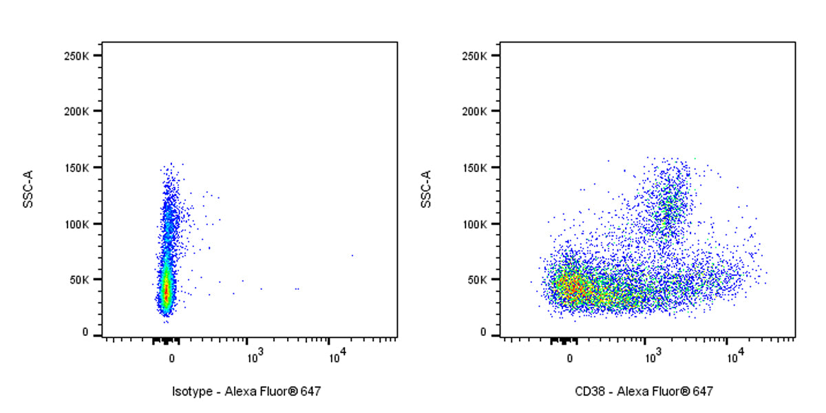 Alexa Fluor® 647 Mouse Anti-human CD38 Antibody (HB7)