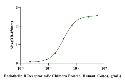 Endothelin B Receptor mFc Chimera Protein, Human