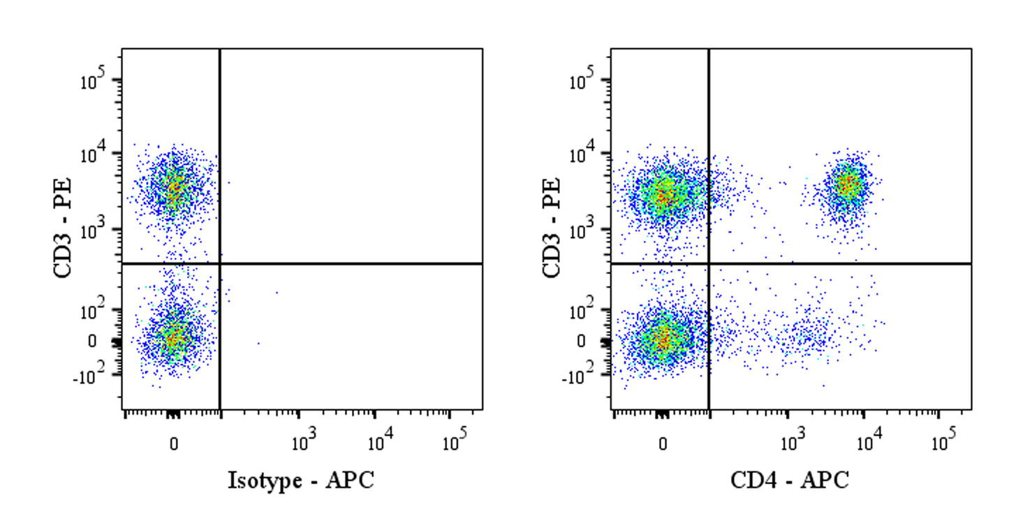 APC Mouse Anti-Rat CD4 Antibody (W3/25)