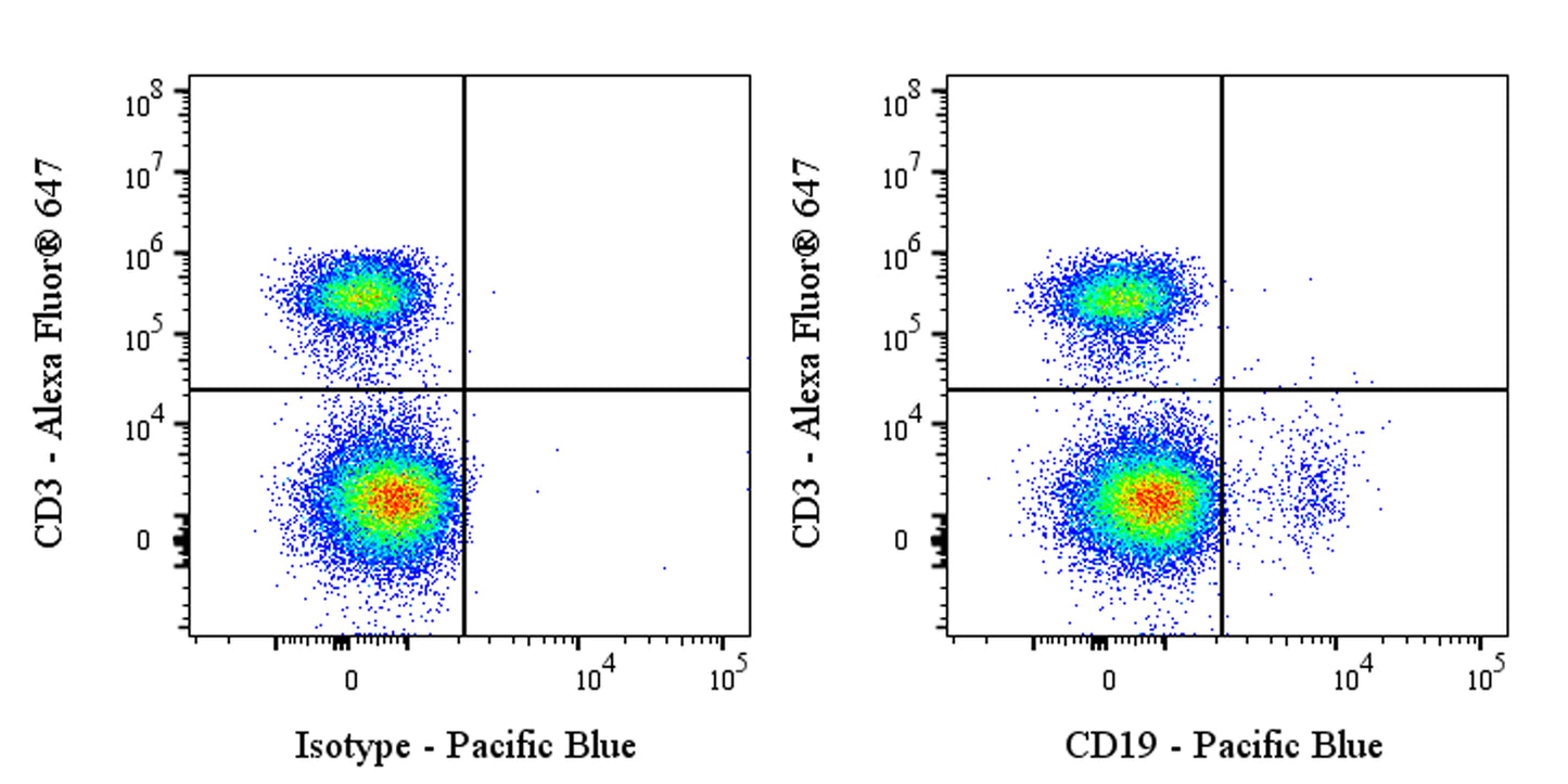 Pacific Blue Mouse Anti-Human CD19 Antibody (S-1039-46)