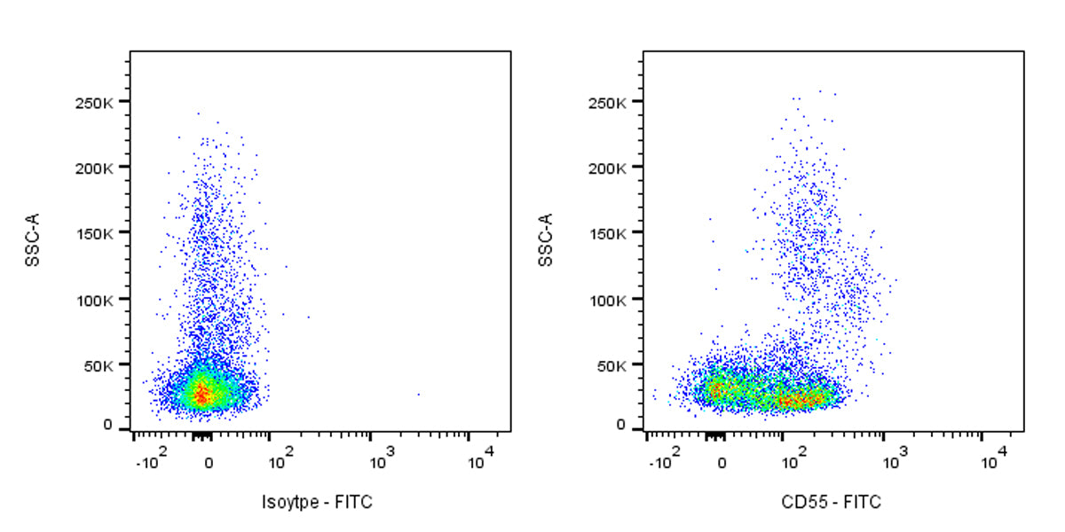 FITC Mouse Anti-Human CD55 Antibody (S-3120)