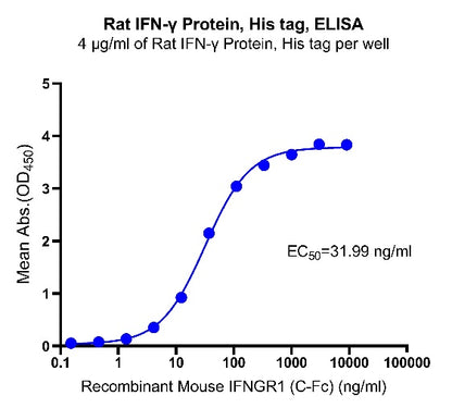 IFN-γ His Tag Protein, Rat