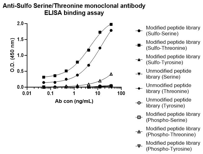 S-RMabMix™ Sulfo-Serine/Threonine Rabbit mAb