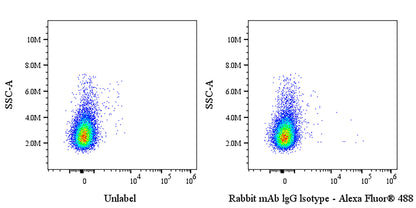 Rabbit mAb IgG Isotype Control (S-4900)