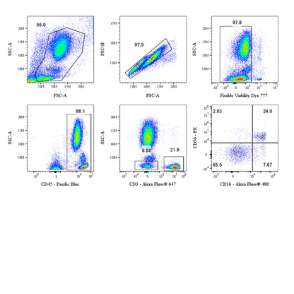 Human NK Cell Panel Kit