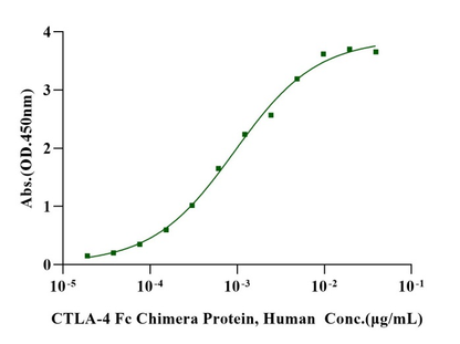 Biotinylated B7-1 Avi&His Tag Protein, Human