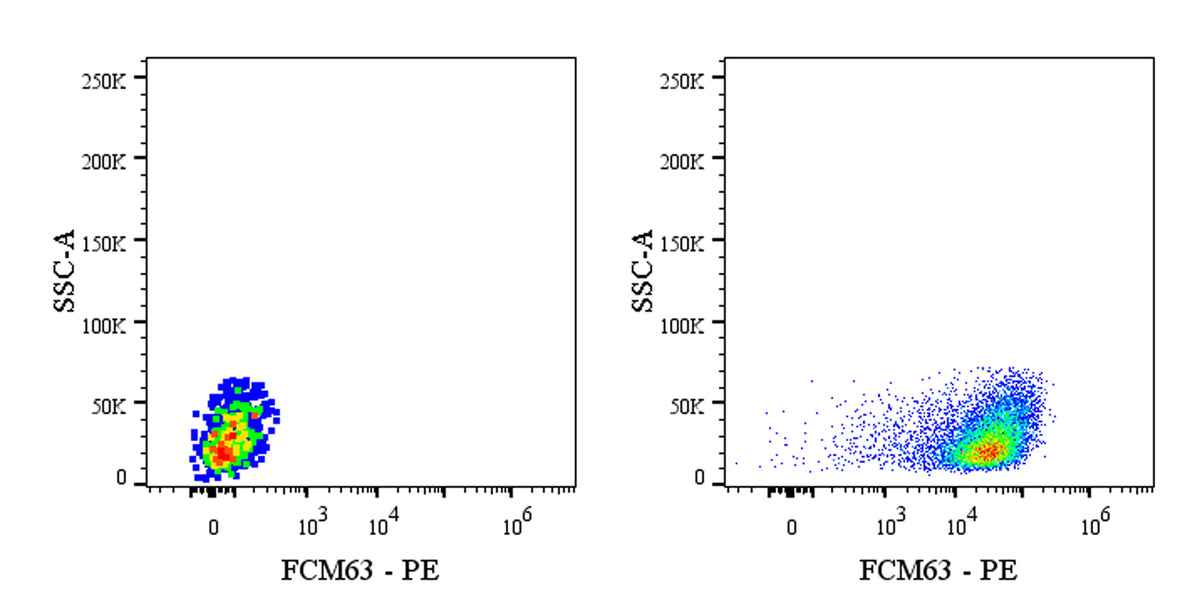 FMC63 Recombinant Mouse mAb (FITC Conjugate) (S-5031)
