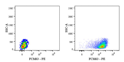 FMC63 Recombinant Mouse mAb (FITC Conjugate) (S-5031)