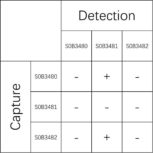 HIV P24 Recombinant Rabbit mAb (SDT-1694-136)