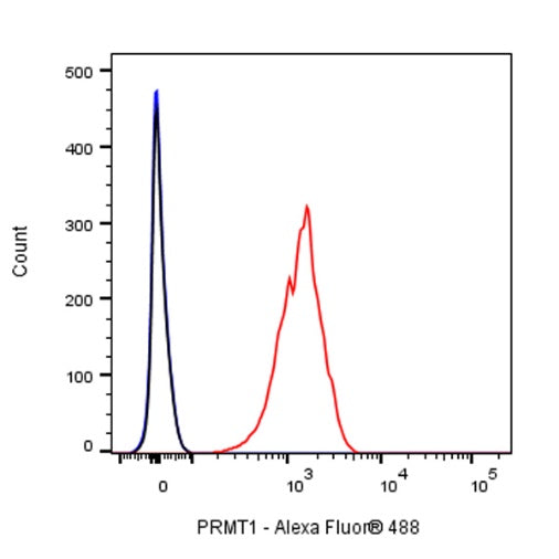PRMT1 Recombinant Rabbit mAb (S-884-10)