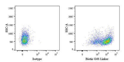 G4S Linker Recombinant Rabbit mAb (Biotin Conjugate) (S-711-23)
