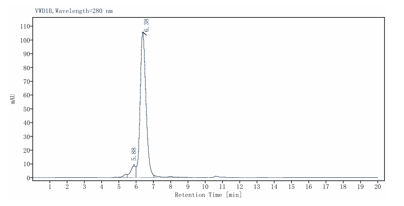CD205 His Tag Protein, Cynomolgus