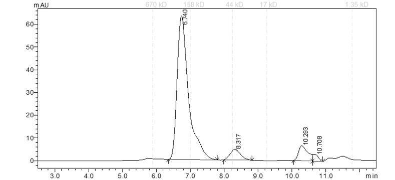 EPHB3 Protein