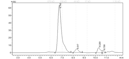 EPHB3 Protein