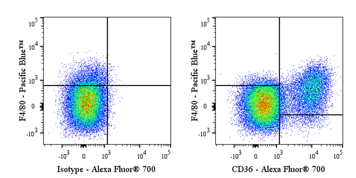 Alexa Fluor® 700 Armenian hamster Anti-Mouse CD36 Antibody (HM36)
