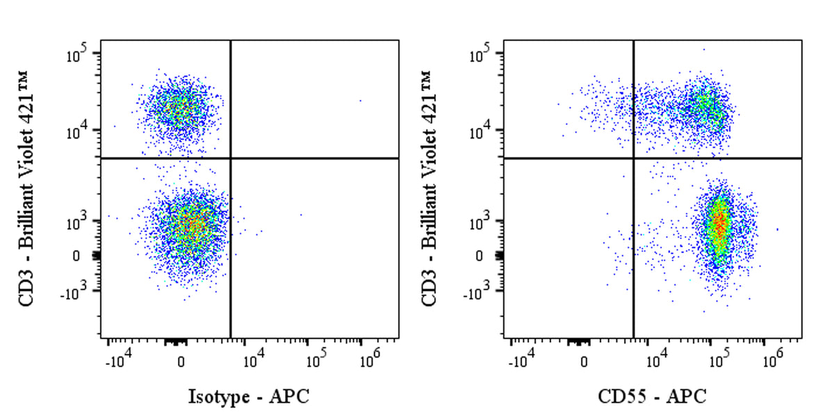 APC Mouse Anti-Human DAF/CD55 Antibody (S-628-48)