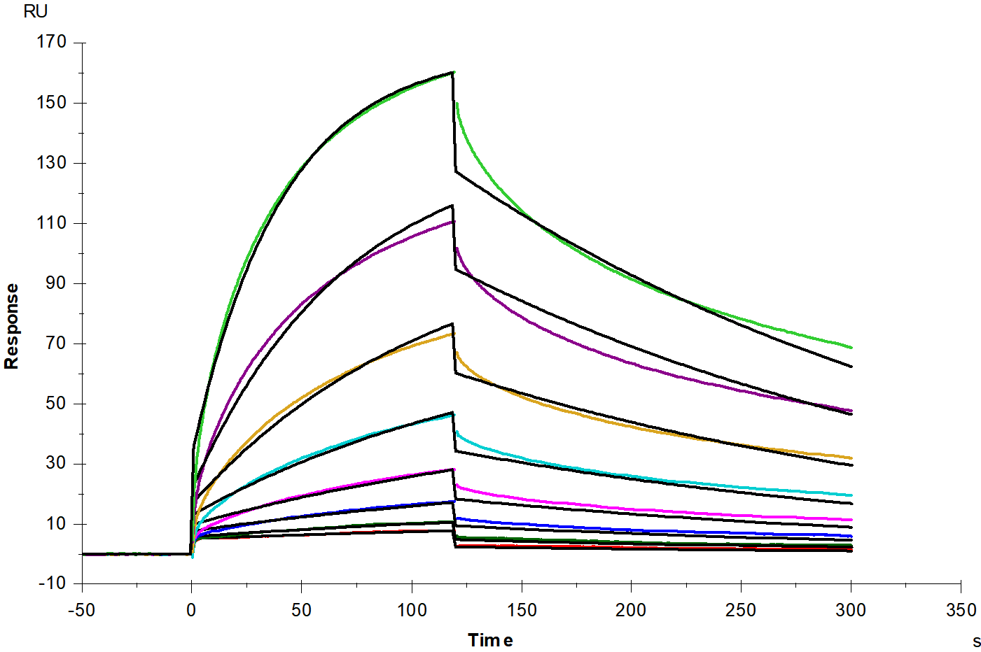PD-1 His Tag Protein, Cynomolgus