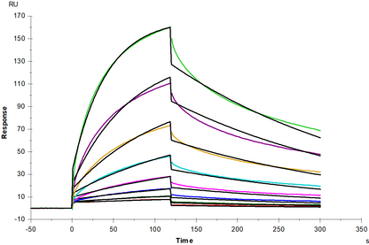 PD-1 His Tag Protein, Cynomolgus
