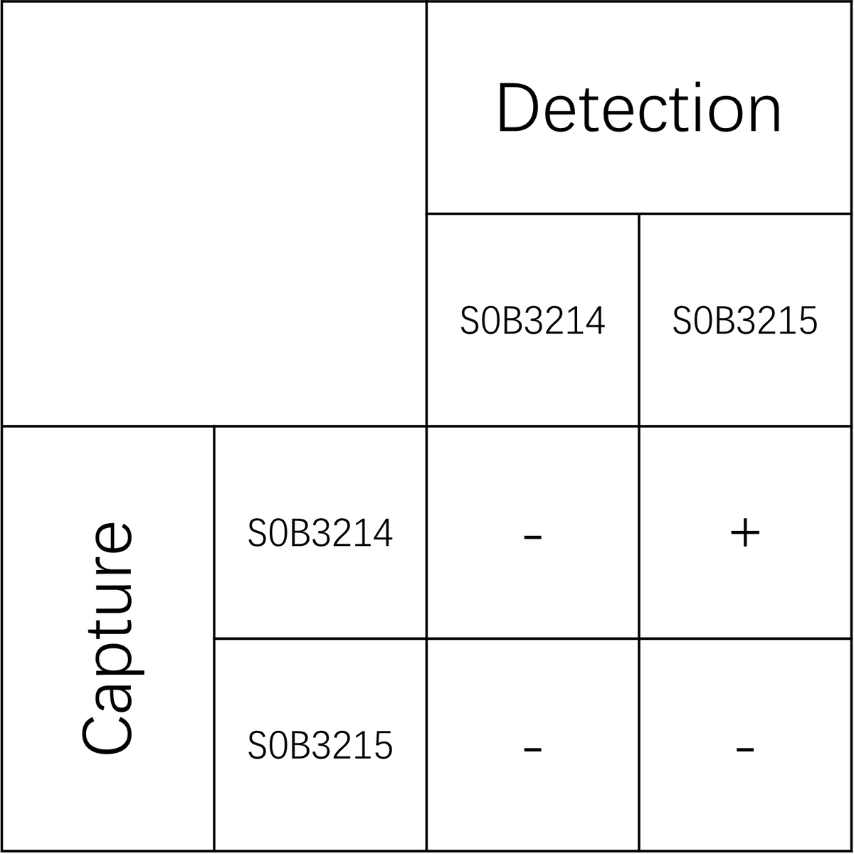 AMH Recombinant Rabbit mAb (SDT-270-50)