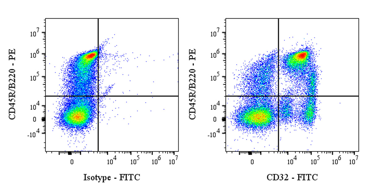 FITC Mouse Anti-Rat CD32 Antibody (S-4246)