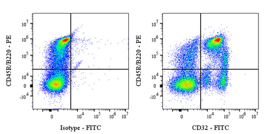 FITC Mouse Anti-Rat CD32 Antibody (S-4246)