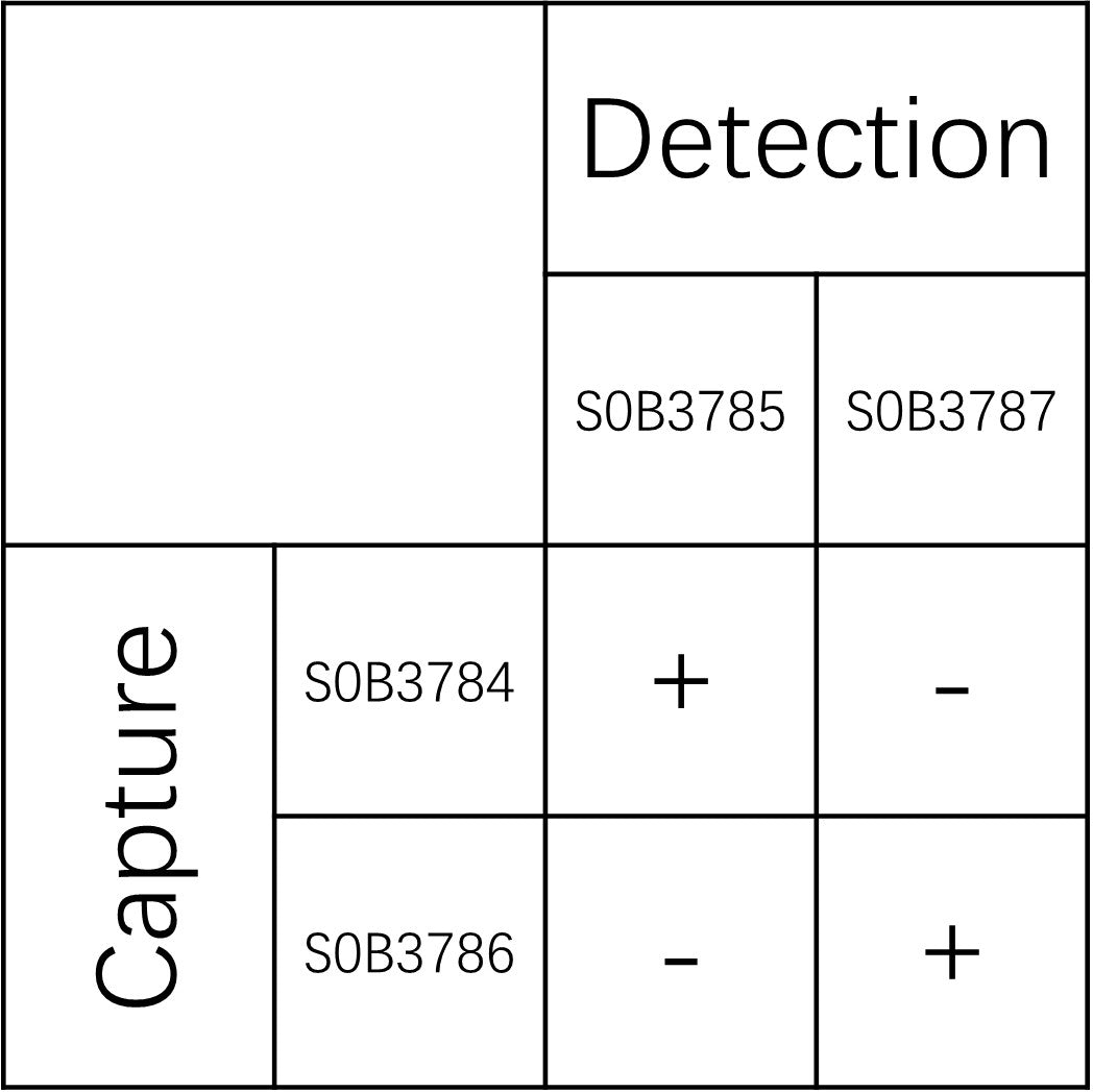 Mouse IgG Recombinant mAb (SDT-1399-205)