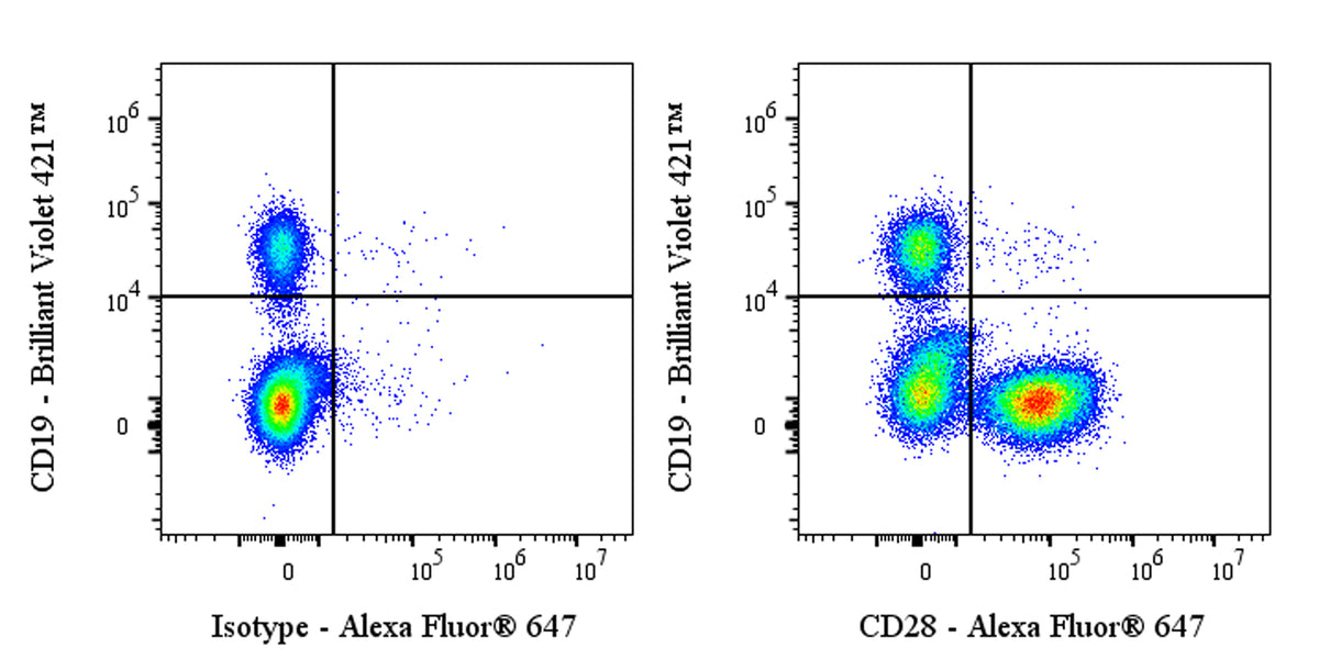Alexa Fluor® 647 Mouse Anti-Human CD28 Antibody (S-R495-2)