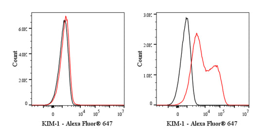 KIM-1 Recombinant Rabbit mAb (Alexa Fluor® 647 Conjugate) (S-932-2)