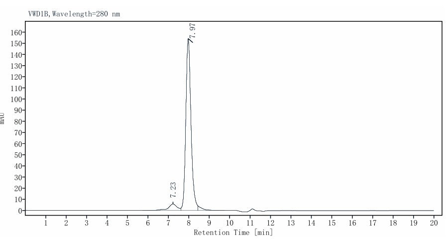 Bst DNA Polymerase, Full length