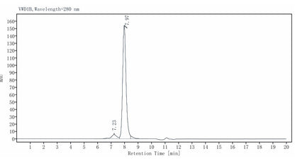 Bst DNA Polymerase, Full length