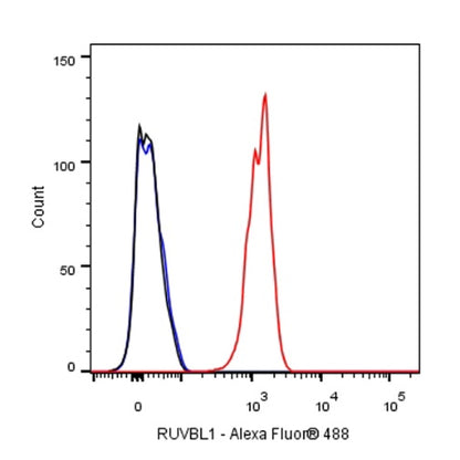 RUVBL1 Recombinant Rabbit mAb (S-1600-38)