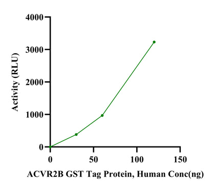 ACVR2B GST Tag Protein, Human