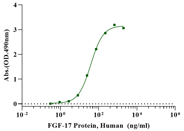 FGF-17 Protein, Human