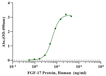 FGF-17 Protein, Human