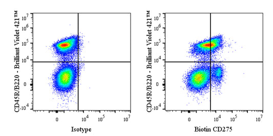 Biotin Rat Anti-Mouse CD275 (B7-H2, B7-RP1, ICOS Ligand) Antibody (HK5.3)
