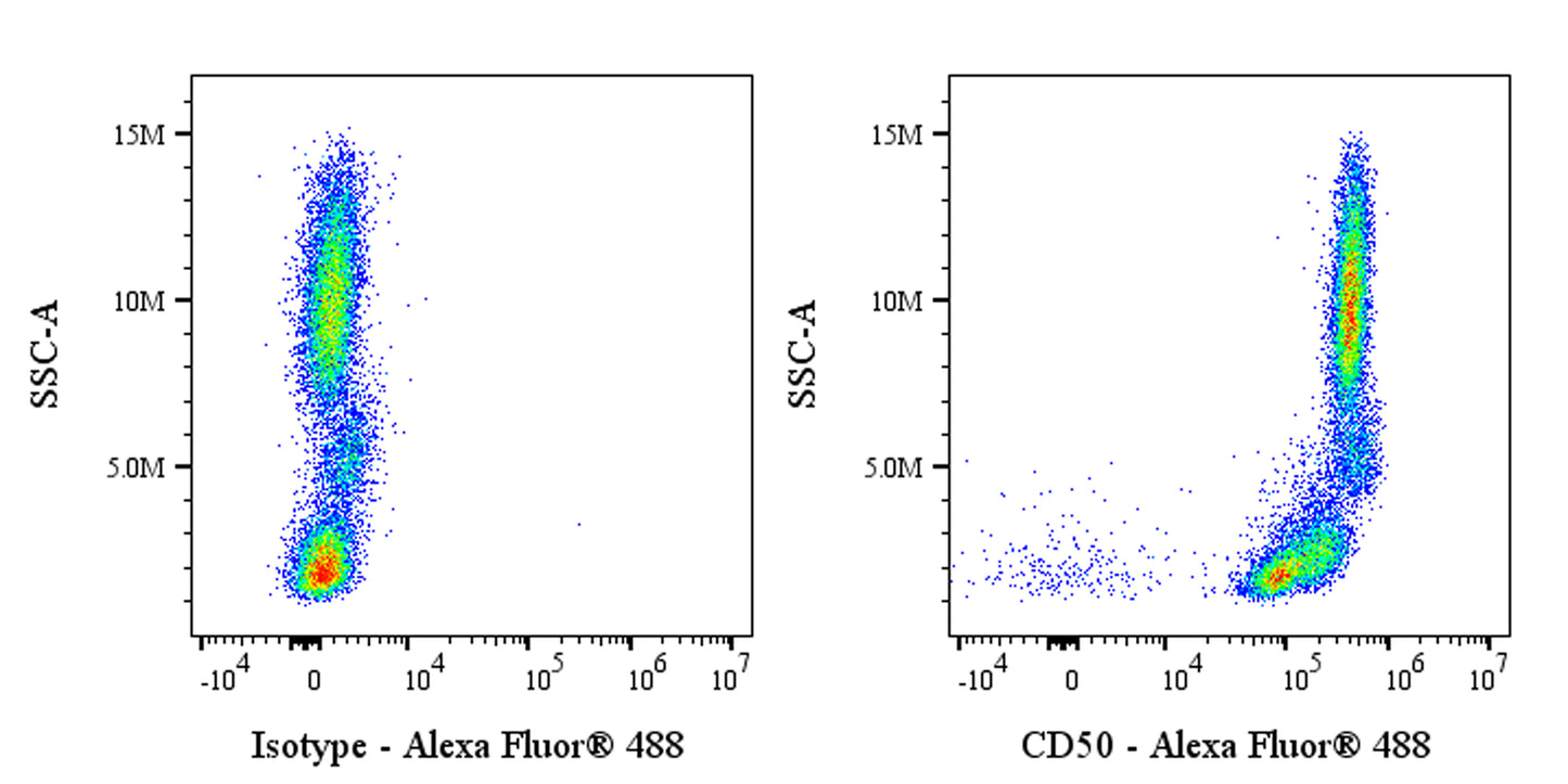Alexa Fluor® 488 Mouse Anti-Human CD50 Antibody (S-4993)
