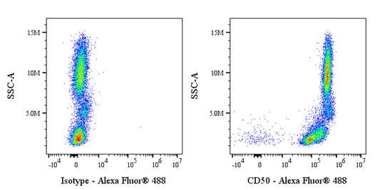 Alexa Fluor® 488 Mouse Anti-Human CD50 Antibody (S-4993)