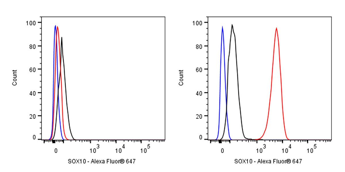 SOX10 Recombinant Rabbit mAb (Alexa Fluor® 647 Conjugate) (SDT-R233)