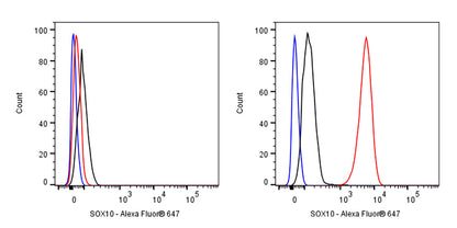 SOX10 Recombinant Rabbit mAb (Alexa Fluor® 647 Conjugate) (SDT-R233)