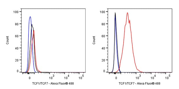 TCF1/TCF7 Recombinant Rabbit mAb (S-3486)