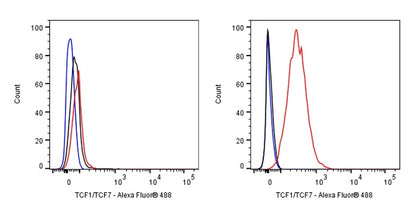 TCF1/TCF7 Recombinant Rabbit mAb (S-3486)