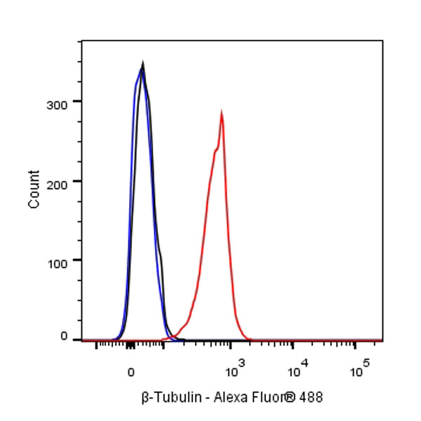β-tubulin Recombinant Rabbit mAb (SDT-312-113)