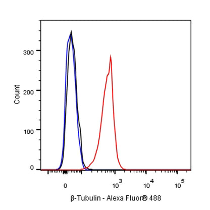β-tubulin Recombinant Rabbit mAb (SDT-312-113)