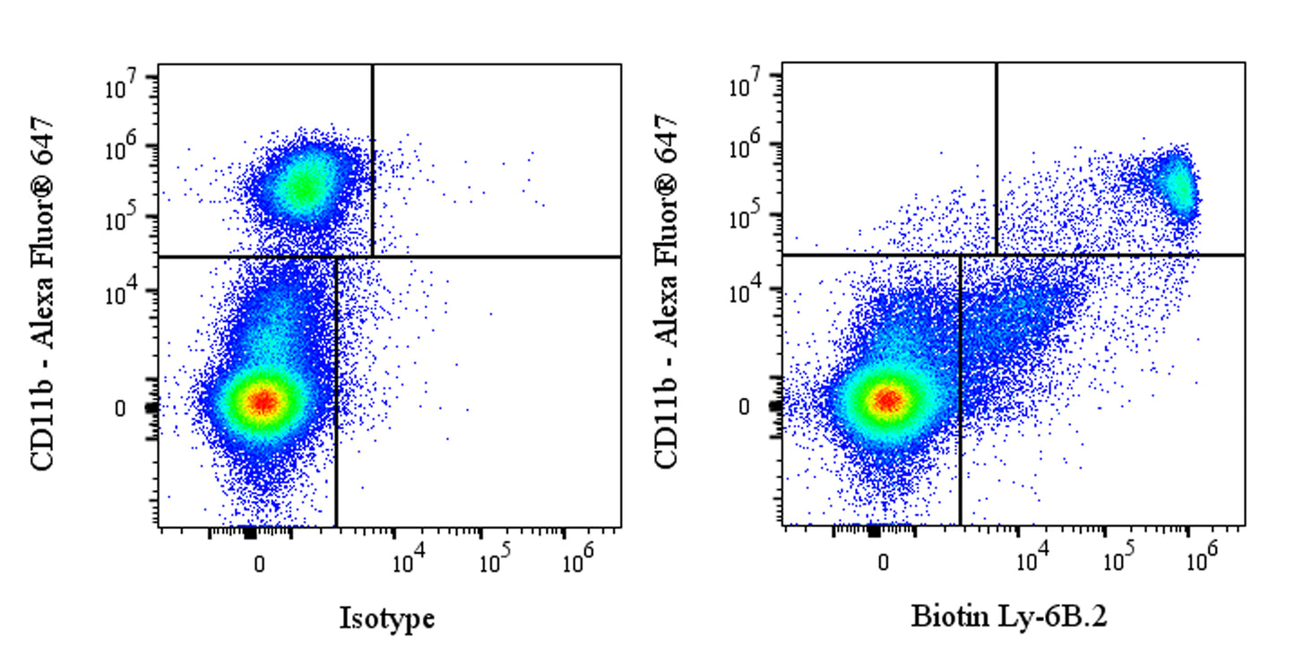 Biotin Rat Anti-Mouse Ly-6B.2 Antibody (7/4)