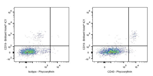 Goat Anti-Human IgG, Fcγ Fragment Specific (min X Bov, Ms, Rat Sr Prot) (PE Conjugate)